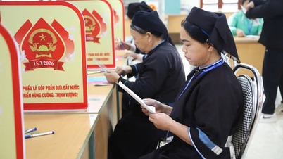 La ora 11:20, comuna Vinh Quy are cea mai mare rată de prezență la vot din provincie.