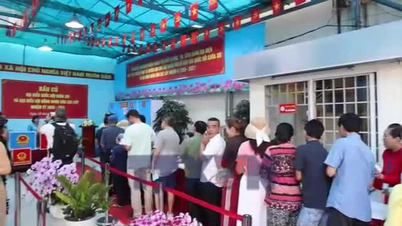 হো চি মিন সিটি সকল ভোটারের ভোটাধিকার নিশ্চিত করার জন্য প্রচেষ্টা চালায়।