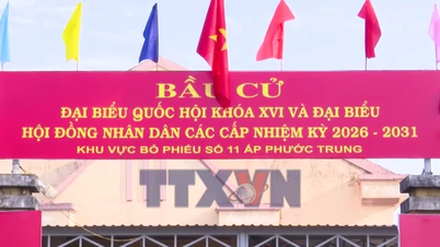 Důvěra voličů v provincii Tay Ninh je vložena do jejich hlasovacích lístků.