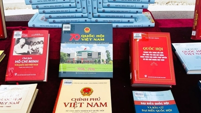 Utforsk historien til den vietnamesiske nasjonalforsamlingen gjennom historiske dokumenter.