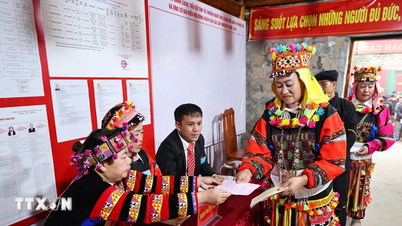 Le taux de participation électorale à Tuyen Quang a atteint 99,96 %.