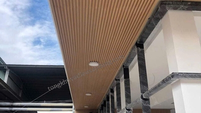 Solutions modernes en matière de matériaux de construction : panneaux Cemboard, sous-couches de plancher porteuses et revêtements de sol en vinyle imitation bois à emboîtement.