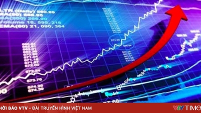 증시는 국내 자본 유입 급증을 예상하고 있다.