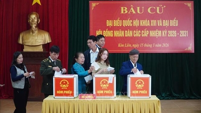 Festival nasional di Nghe An dan Ha Tinh telah berhasil diselenggarakan.