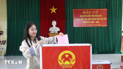 Nghe An, Ha Tinh: Festival nasional telah berhasil diselenggarakan.