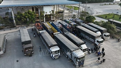 ຫວຽດນາມຮັກສາຄວາມໝັ້ນໃຈທາງທຸລະກິດ.