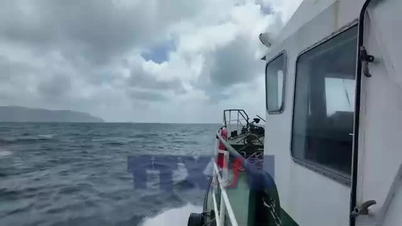 Menerobos ombak untuk mengantarkan kotak suara ke Pasukan Perlindungan Hutan Con Dao.