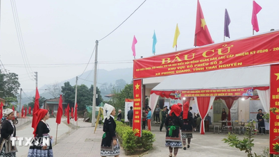Cao Bang, Lang Son, Thai Nguyen: Banyak pemilih berusia di atas 100 tahun yang ikut serta dalam pemilihan.