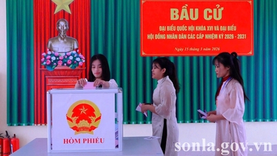 Không khí bầu cử tại Trường Đại học Tây Bắc thuộc khu vực bỏ phiếu số 2