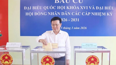 Tay Ninh: Volební účast dosáhla 99,58 %