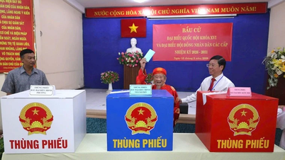 Pada akhir pemilihan, tingkat partisipasi pemilih di seluruh negeri mencapai 99,38%, sementara Lao Cai dan Hue mencapai 100%.
