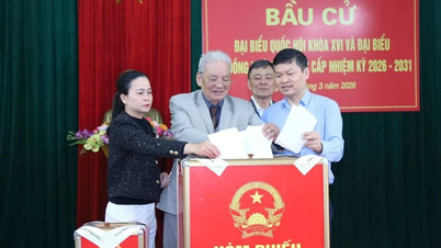 Lao Cai اور Hue City نے 100% ووٹر ٹرن آؤٹ کی شرح حاصل کی۔