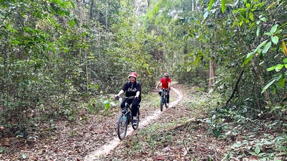 ດົ່ງນາຍ ພັດທະນາລະບົບນິເວດການທ່ອງທ່ຽວປ່າໄມ້.