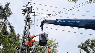 Redenumirea a 19 echipe regionale de management al energiei electrice din orașul Da Nang.
