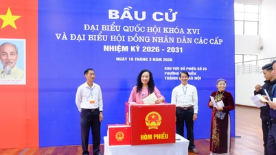 Aceste buletine de vot transmit o dorință de renaștere culturală.