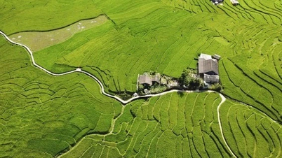 Los destinos más bellos de Vietnam en marzo.