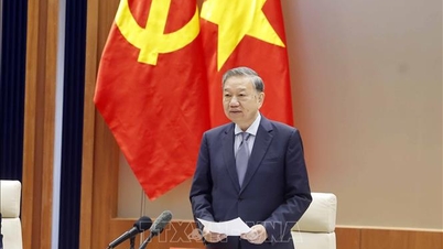 The General Secretary worked with the Executive Committee of the Hai Phong City Party Committee.