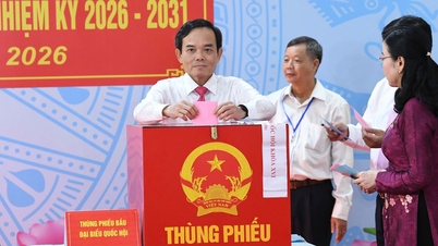 ឃុំ និងសង្កាត់ចំនួន ៣៨ នៅទីក្រុងហូជីមិញសម្រេចបានអត្រាអ្នកទៅបោះឆ្នោត ១០០%។