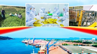 Volatilitatea din Orientul Mijlociu și provocările cu care se confruntă exporturile în provincia Nghe An.