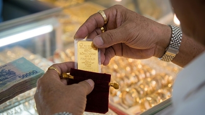 SJC سونے کی قیمتیں مستحکم رہیں، قیاس آرائی پر مبنی مختصر مدتی تجارت کا خطرہ بڑھ گیا۔