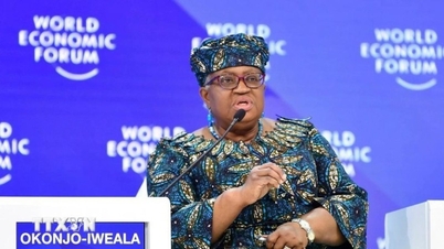WTO: বিশ্ব বাণিজ্য ৮০ বছরের মধ্যে সবচেয়ে গুরুতর সংকটের মুখোমুখি।