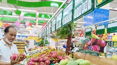 Promovarea dezvoltării pieței interne.