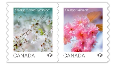 Posten i Canada har gitt ut et sett med vårblomstfrimerker.