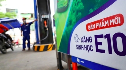 Mr. Do Van Tuan: E10 bioethanol will help reduce pressure on the supply chain.