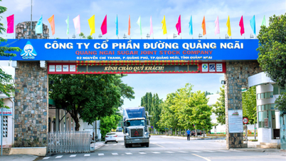 Die Quang Ngai Sugar Company plant für 2026 einen Gewinnrückgang von 21%.