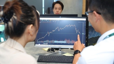 Phase de correction de l'indice VN : Pression mondiale, mais opportunités d'accumulation d'actions