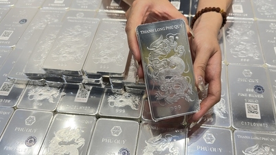 Precios de la plata hoy, 16 de marzo: Cayendo más rápido que el mercado global, los compradores de plata están nuevamente decepcionados.