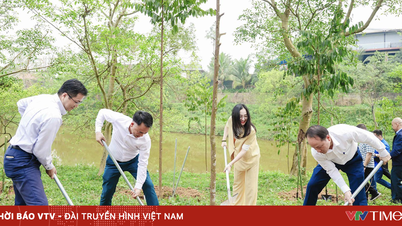 7 Tahun Penanaman Pokok: Toyota Berkomitmen untuk Vietnam yang Berdaya Tahan dan Sejahtera