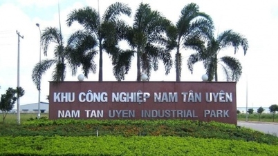 Nam Tan Uyen's profits decreased by nearly VND 38.19 billion after the 2025 audit.