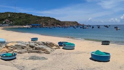 Dezvoltarea portului de pescuit din Quy Nhon într-un port turistic.
