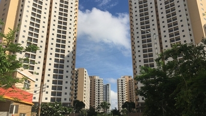 For the fifth time, Ho Chi Minh City is auctioning off 3,790 resettlement apartments.