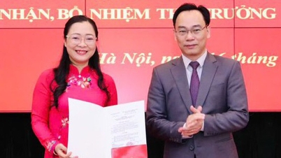Deputy Minister Nguyen Thi Quyen Thanh is expected to be in charge of preschool education and the national foreign language project.