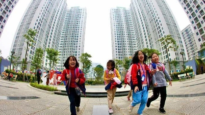 Un procedimiento de 7 pasos que tardó 132 días en completar un proyecto de vivienda social en Ciudad Ho Chi Minh.