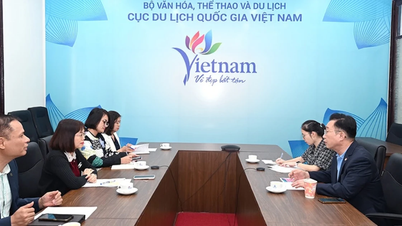 Diversifying experiences and enhancing the attraction of South Korean tourists to Vietnam.
