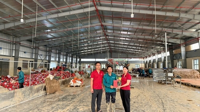 ធនាគារ Agribank - និមិត្តរូបនៃទំនុកចិត្ត និងសេចក្តីប្រាថ្នា!