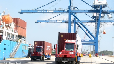 Fremme investeringsattraksjoner i logistikkinfrastrukturprosjekter.