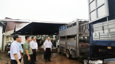 Đồng Nai siết chặt quản lý chăn nuôi và quyết liệt ngăn chặn chất cấm trong thực phẩm
