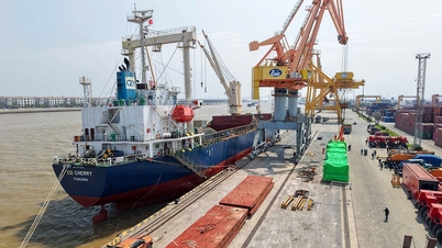Cảng Hoàng Diệu Chùa Vẽ khai thác thành công chuyến tàu chở thiết bị siêu trường siêu trọng