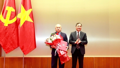 El viceministro de Finanzas, Do Thanh Trung, asume el cargo de subsecretario del Comité del Partido de la ciudad de Hai Phong.