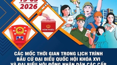 2026년부터 2031년까지의 제16대 국회 의원 및 각급 인민위원회 대표 선출 이후 주요 일정.