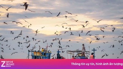 Het walvisjachtgebied in Gia Lai staat op het punt een toeristische haven te worden.