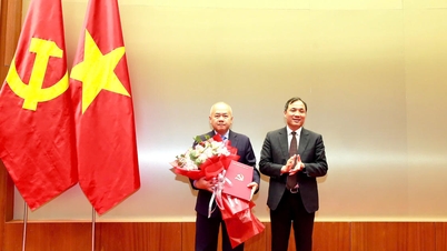 Thứ trưởng Bộ Tài chính Đỗ Thành Trung làm Phó Bí thư Thành ủy Hải Phòng