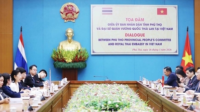 Phu Tho tartomány abban reménykedik, hogy Thaiföld továbbra is növelni fogja a befektetéseket.