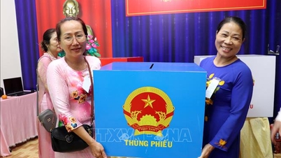 Quy trình xử lý phiếu bầu sau khi kết thúc bầu cử