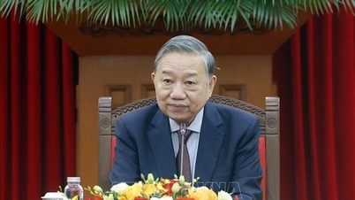 Setiausaha Agung To Lam menerima kunjungan hormat Menteri-Menteri Hal Ehwal Luar Negeri, Pertahanan Negara dan Keselamatan Awam China.