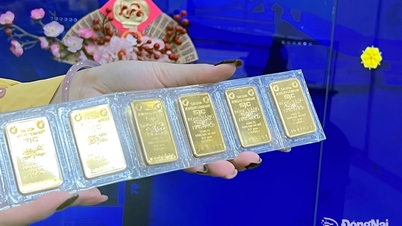 Harga emas batangan dan cincin emas telah meningkat sebesar 500.000 VND per tael.